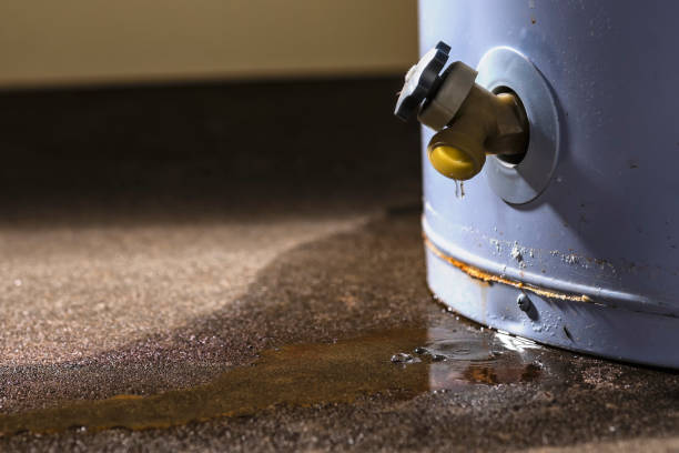 Best Flooded house restoration  in Chrisman, IL