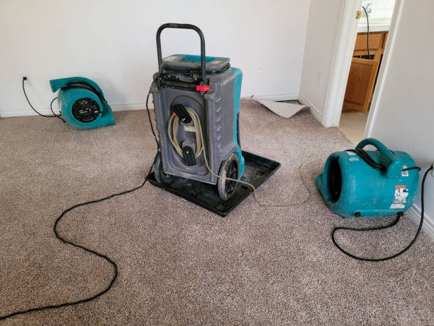 Best Residential water damage restoration  in Chrisman, IL