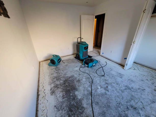 Best Emergency water damage restoration  in Chrisman, IL