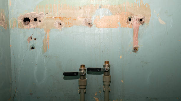  Chrisman, IL Water damage restoration Pros