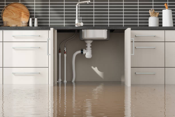 Best Carpet water damage restoration  in Chrisman, IL